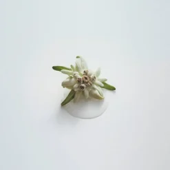 Advanced Anti-Ageing Light Cream 50 ml