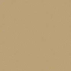 Almost Powder Makeup SPF 15
