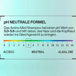 amino-mint   Shampoo 300 ml