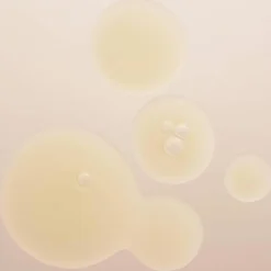 AMPOULE CONCENTRATES Active Purifier 7 x 2 ml