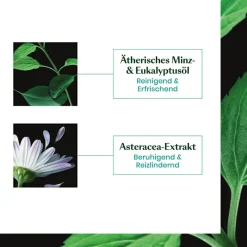Astera   Fresh Beruhigend-frisches Serum 75 ml