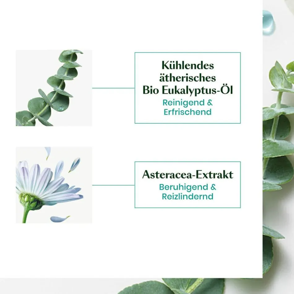 Astera Head Spa Beruhigendes Frischekonzentrat 50 ml