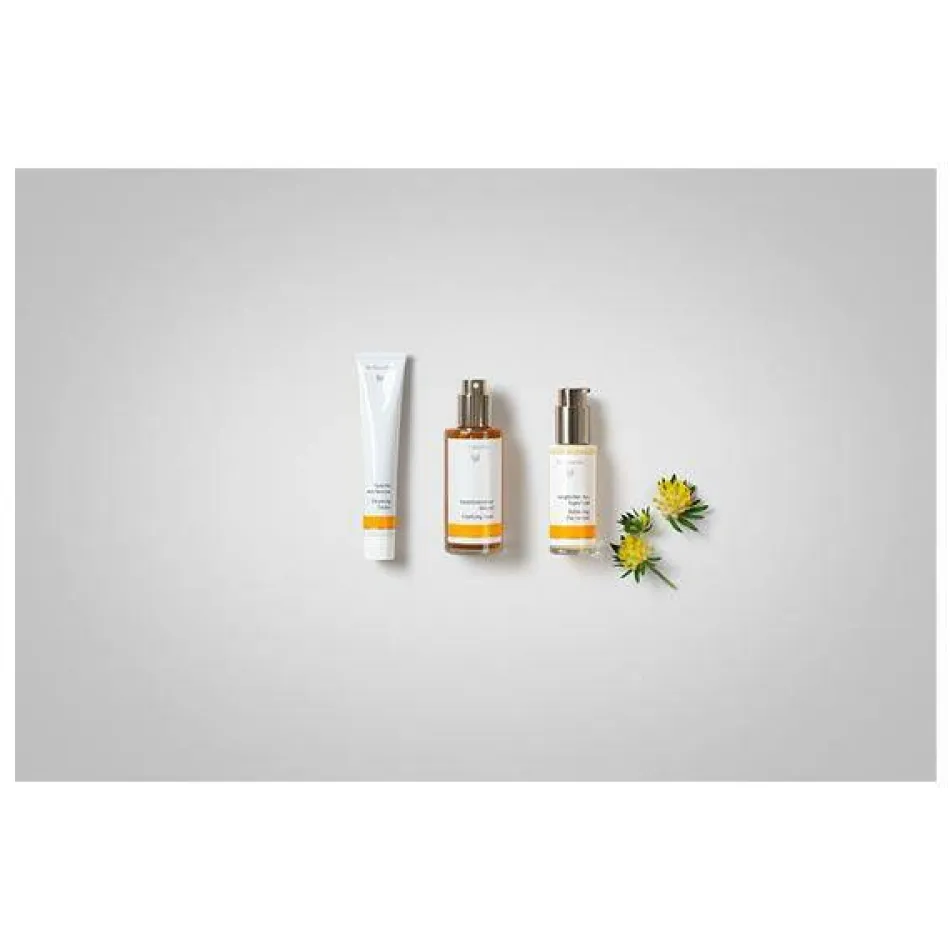 Ausgleichendes Tagesfluid 50 ml