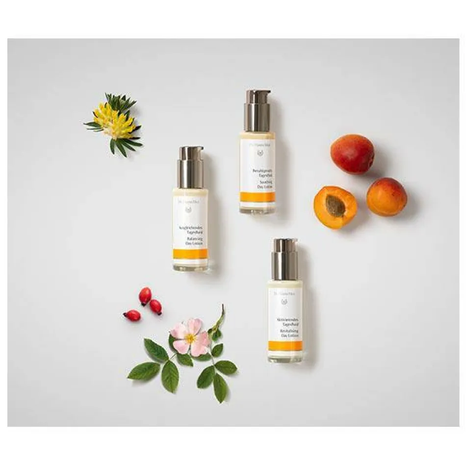 Ausgleichendes Tagesfluid 50 ml
