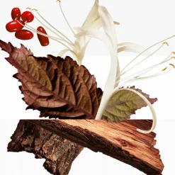 Barénia   Parfümierte Körpercreme 200 ml