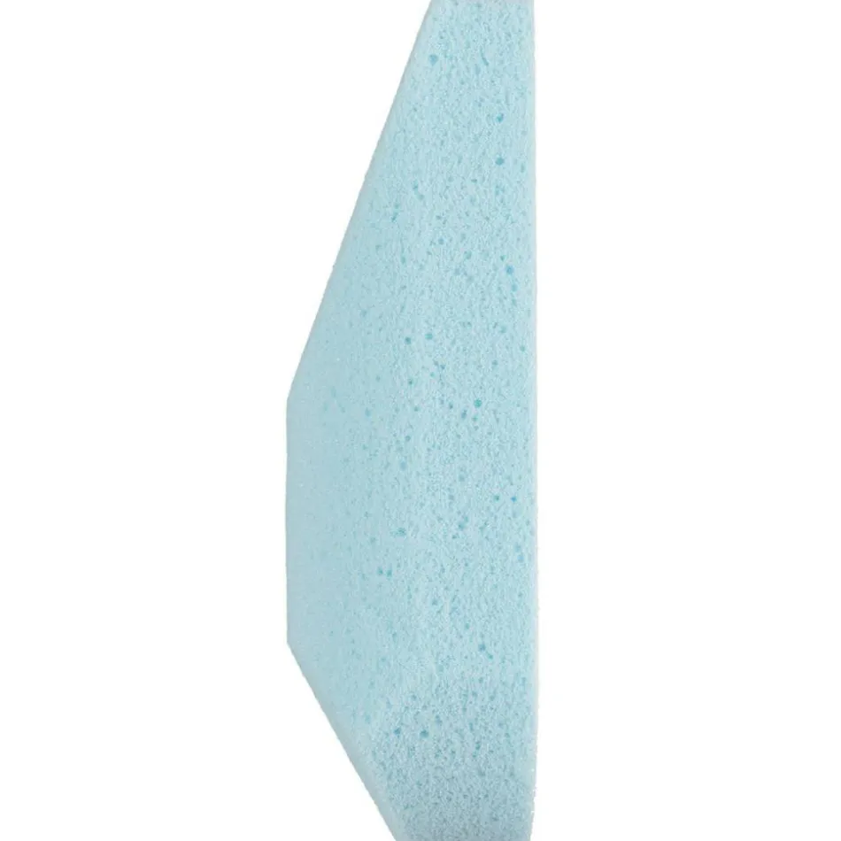Bimsschwamm Antibacterial