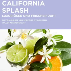 Blond Absolu   Cicaflash 250 ml