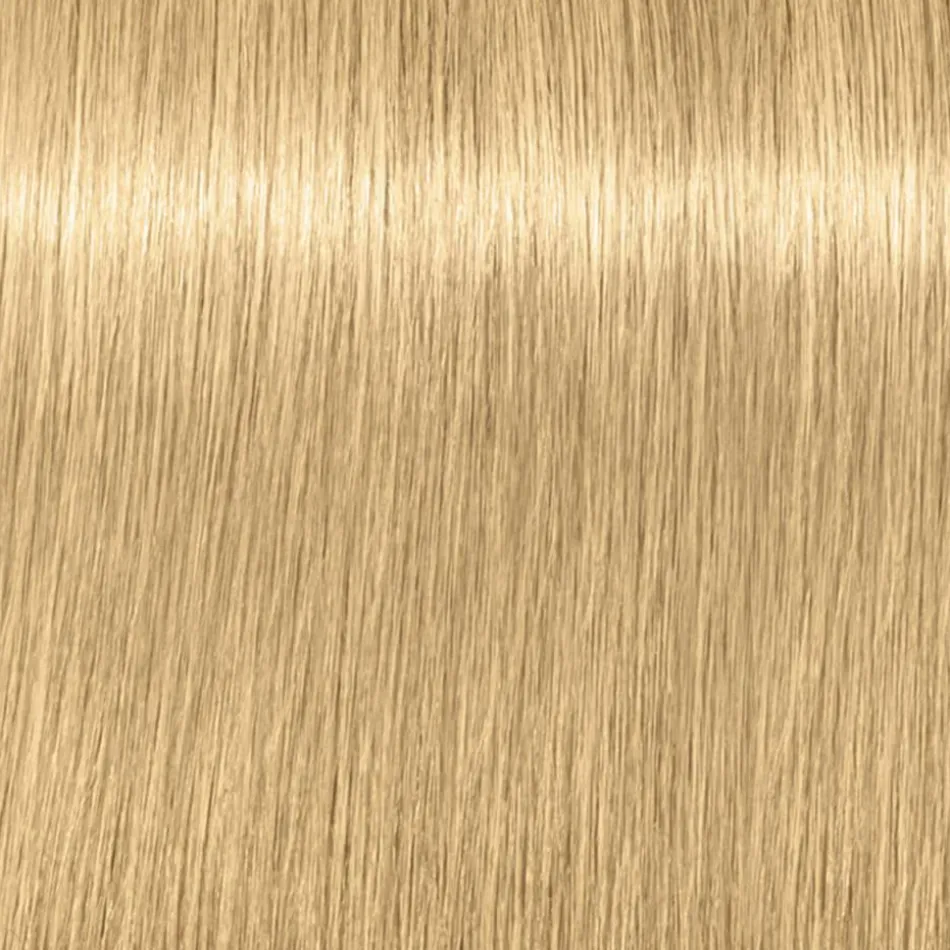 Blonde Expert Highlift