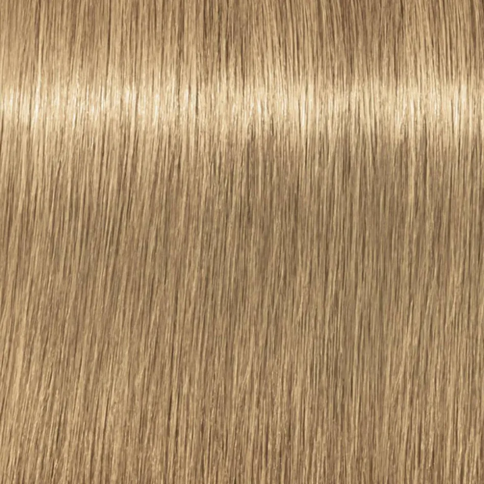 Blonde Expert Highlift