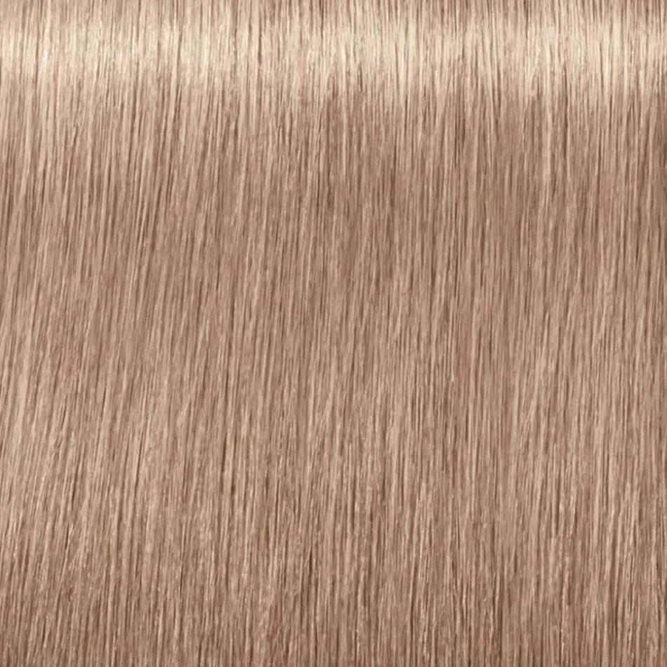 BLONDME Bleach & Tone