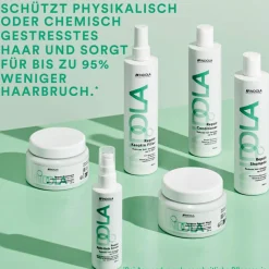 Care & Style Repair Shampoo
