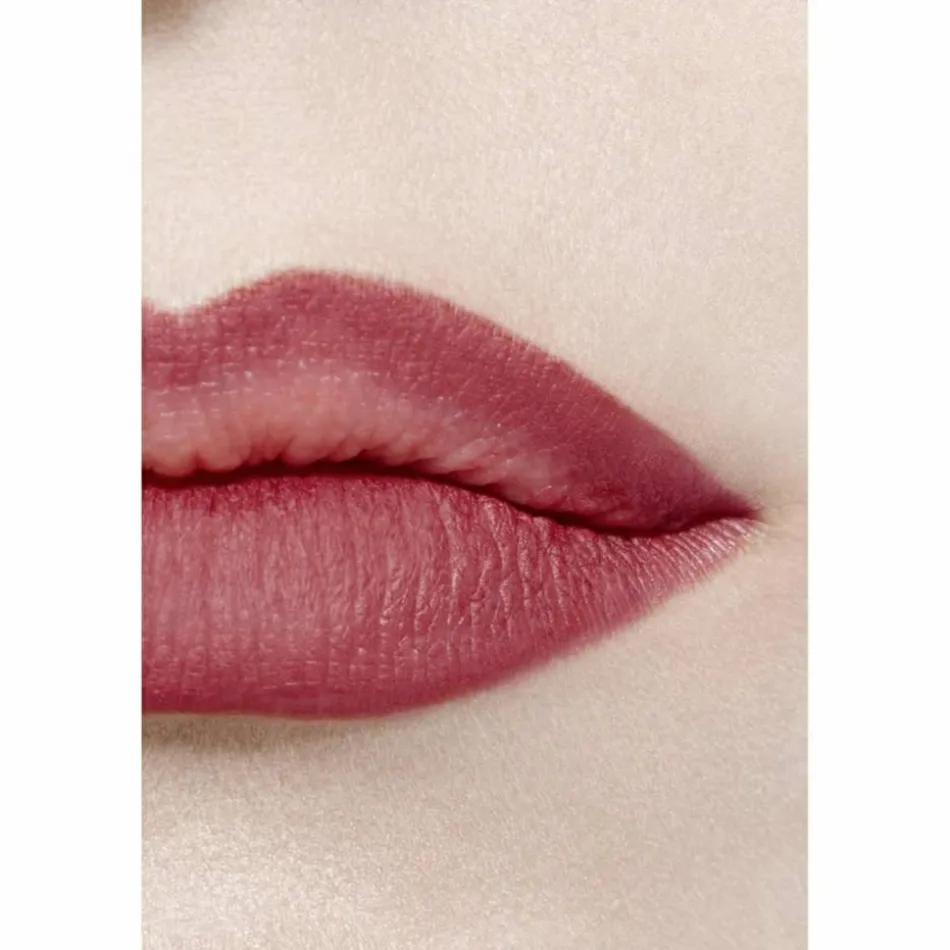 CHANEL LE CRAYON À LÈVRES Nr. 172 BOIS | baslerbeauty