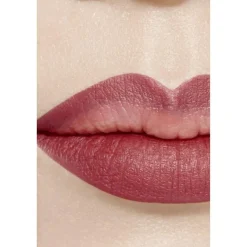 CHANEL LE CRAYON À LÈVRES Nr. 172 BOIS | baslerbeauty