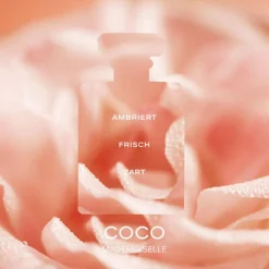 CHANEL COCO MADEMOISELLE L'EAU PRI | baslerbeauty