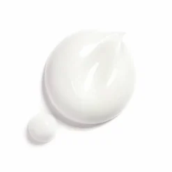 CHANEL HYDRA BEAUTY CAMELLIA WATER CREA | baslerbeauty
