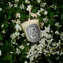 Choisya Classic Candle 190 g