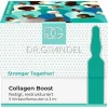 Collagen Boost Ampullen Women Support Women 5 x 3 ml