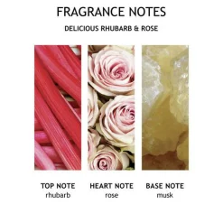 Delicious Rhubarb & Rose   Hand Lotion 300 ml