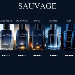 DIOR Sauvage Eau de Toilette Refill 300