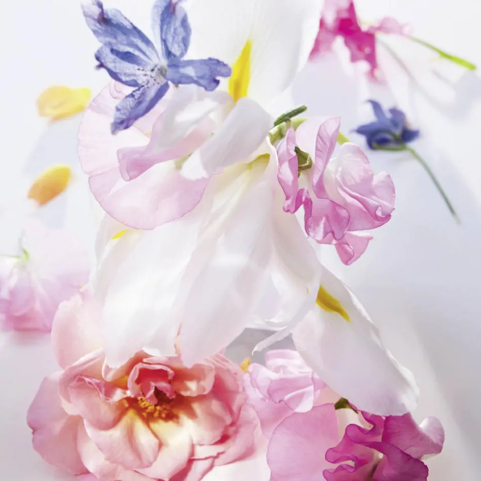 DIOR Miss Dior Eau de Parfum Roller-Pea | baslerbeauty