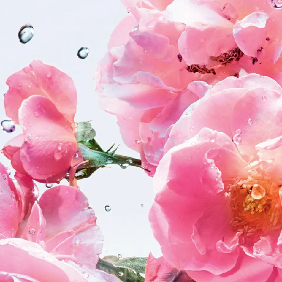 DIOR Miss Dior Rose N'Roses Roller | baslerbeauty
