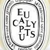 Eucalyptus Classic Candle 190 g