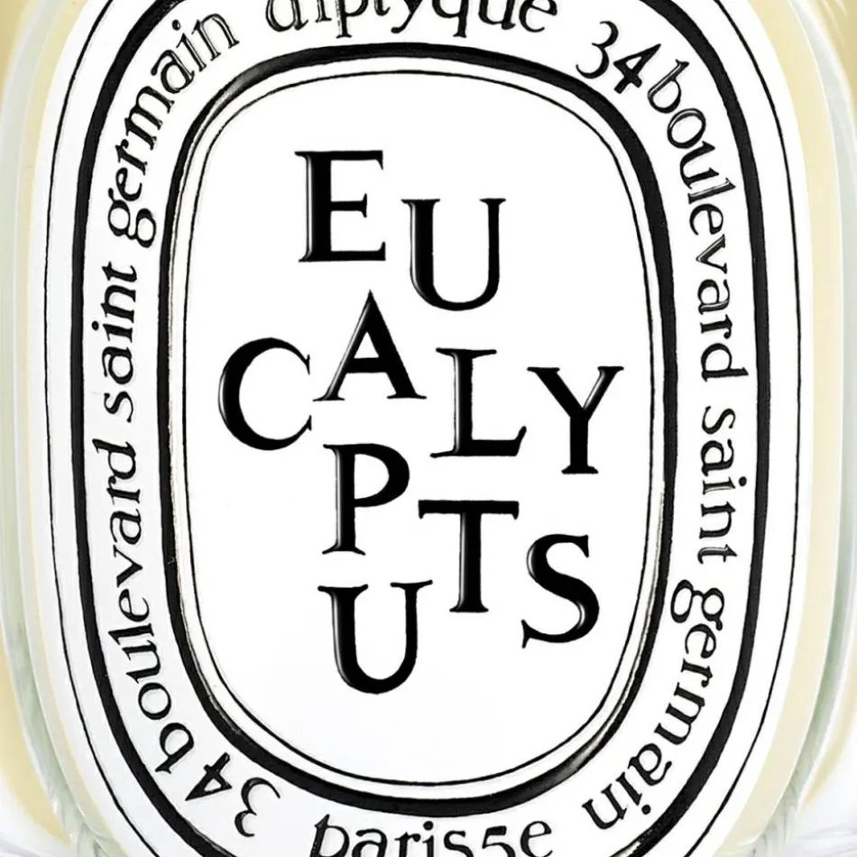 Eucalyptus Classic Candle 190 g