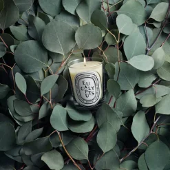 Eucalyptus Classic Candle 190 g