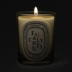 Eucalyptus Classic Candle 190 g