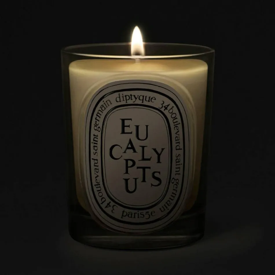 Eucalyptus Classic Candle 190 g