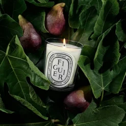 Figuier Classic Candle 190 g