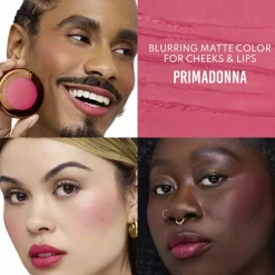 FLUSHED ESSENTIALS BLUSH & LIP KIT