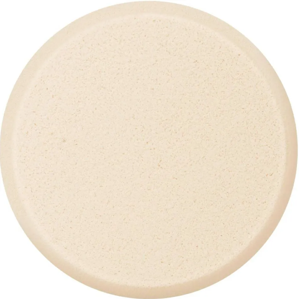 Foundation Sponge