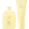 Hair Alchemy   Resilience & Fortifying Duo-Set