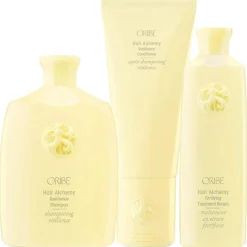 Hair Alchemy   Resilience & Fortifying Trio-Set