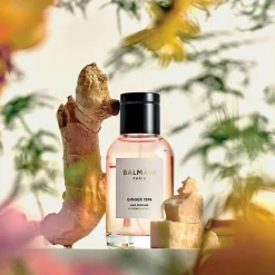 Hair Perfume Ginger 1974 100 ml