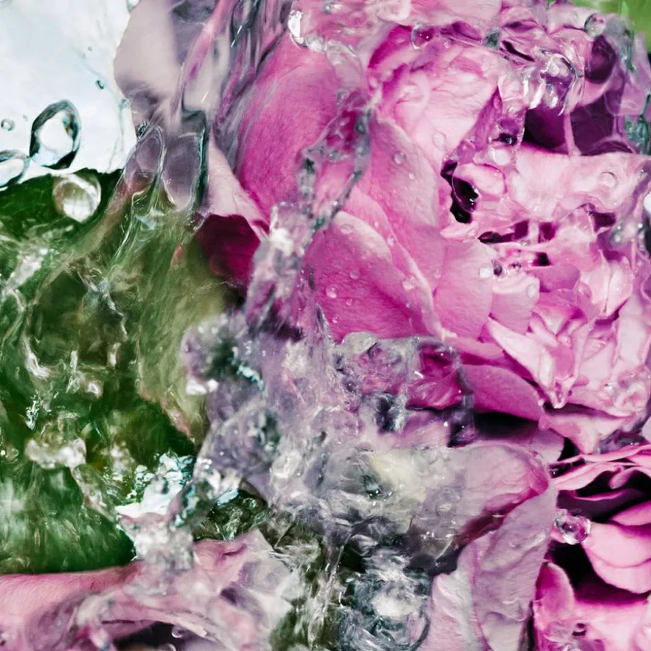 Hand Wash Lost Rose 450 ml