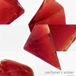 L'Ambre des Merveilles Eau de Parfum 50 ml