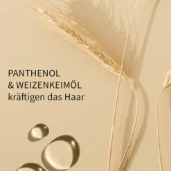 Langes Haar Entwirrungs-Sprühbalsam 200 ml Sprühflasche