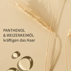 Langes Haar Pflegeöl Glasflasche mit Spender 50 ml
