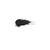 LASH QUEEN   Lash Queen Feline Blacks Black 01 7 ml