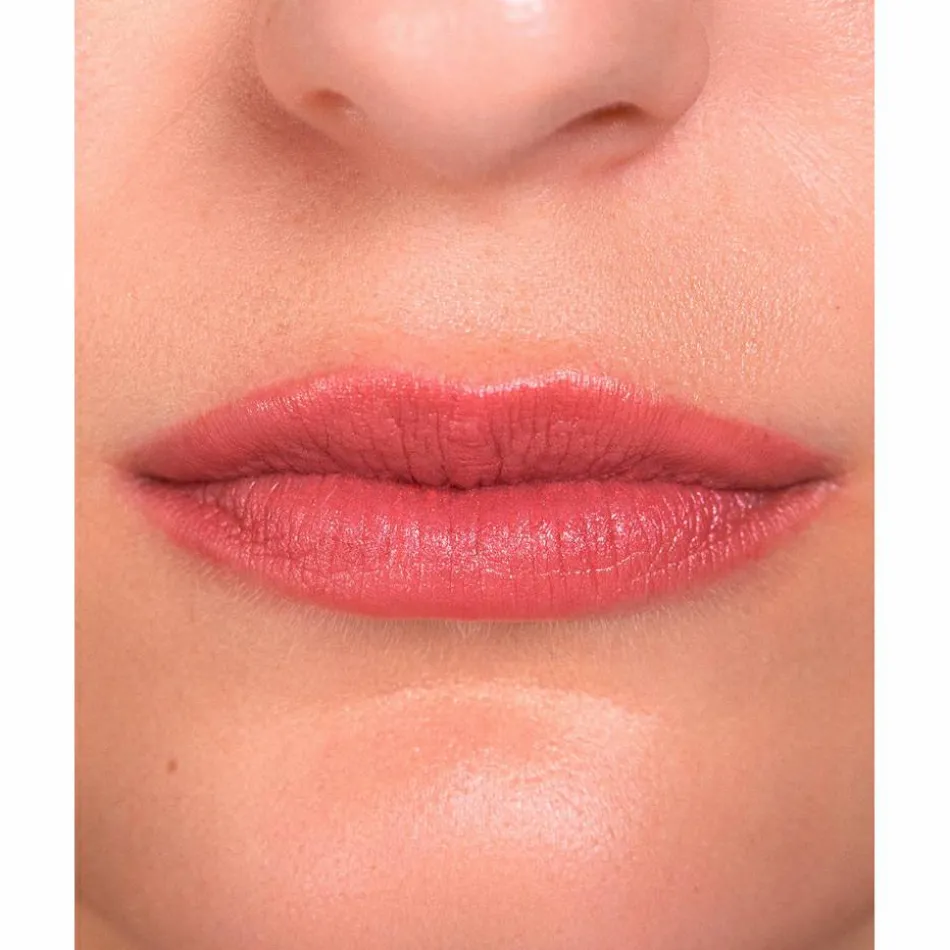 Lip 09 Dusty Rose 2,5 g