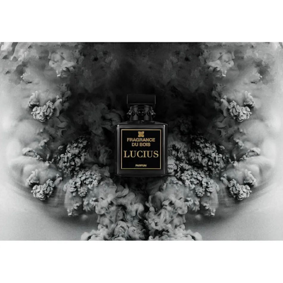 Lucius Parfum 100 ml