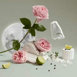 Luna Bodylotion 500 ml