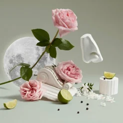 Luna Handcream 75 ml