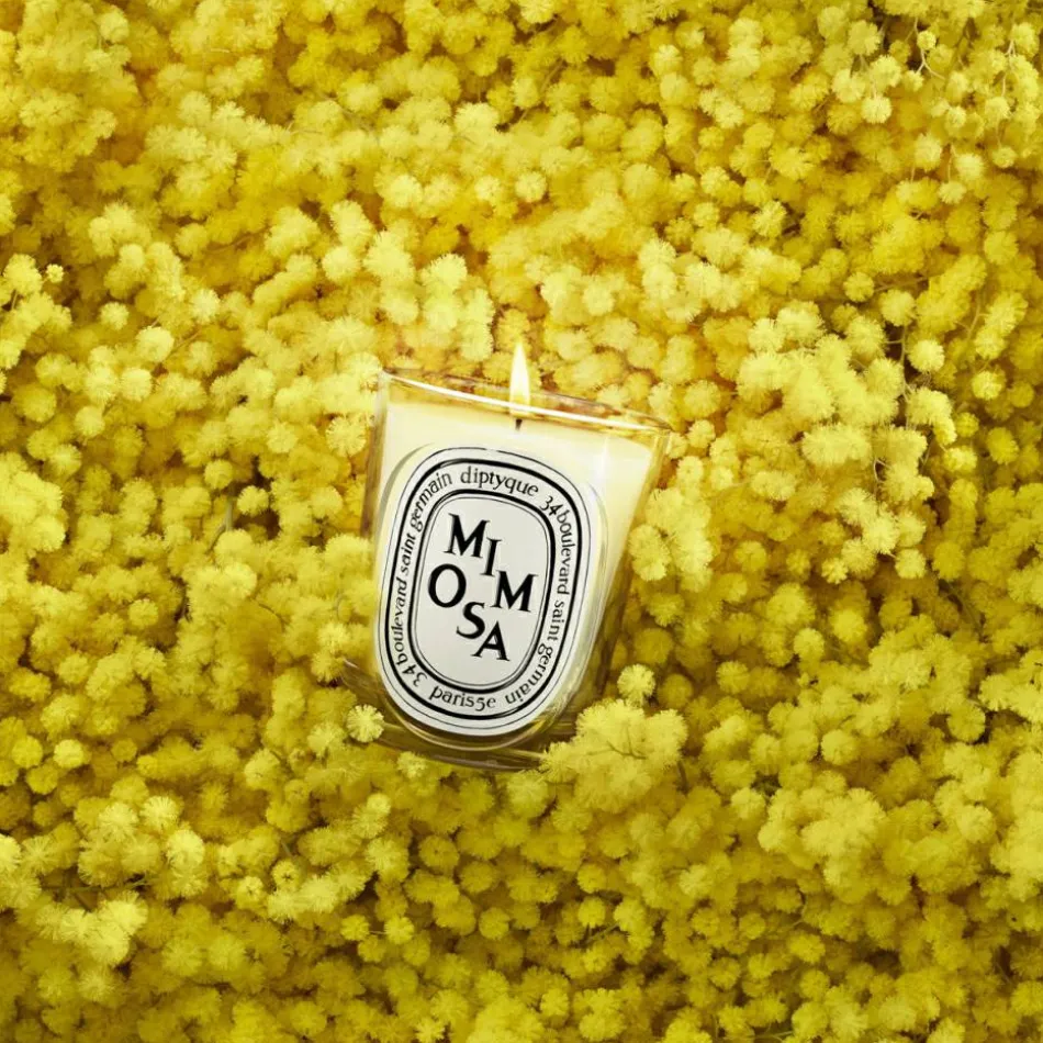 Mimosa Classic Candle 190 g