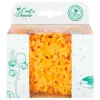 Naturschwamm in umweltfreundlicher Geschenkbox