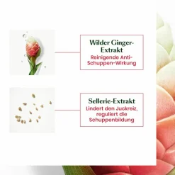 Neopur Ausgleichendes Anti-Schuppen Shampoo für fettige Kopfhaut 150 ml