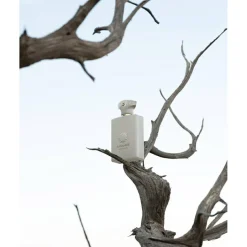 Odyssey Decision Eau de Parfum 100 ml