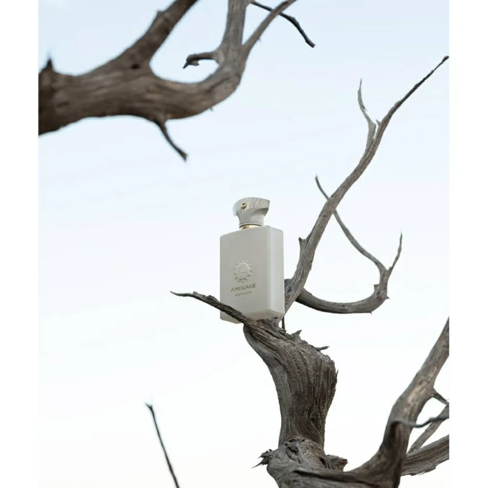 Odyssey Decision Eau de Parfum 100 ml